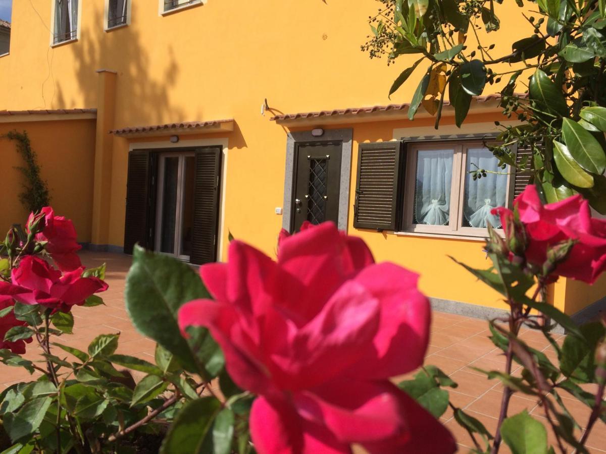La Villetta Apartments Castel Gandolfo Exteriér fotografie