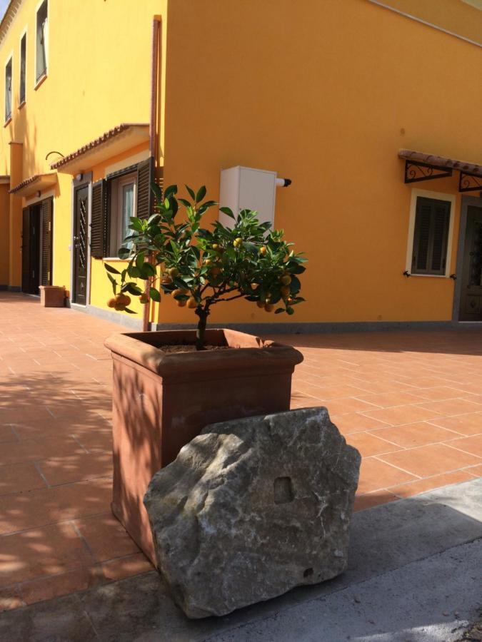 La Villetta Apartments Castel Gandolfo Exteriér fotografie